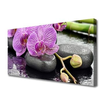 tulup.si Slika na platnu Orchid orchid zen spa