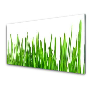 tulup.si Slika na akrilnem steklu Grass nature rastlin 4 obešalnika