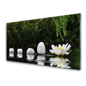 tulup.si Slika na akrilnem steklu Lotus flower water lily 4 obešalnika