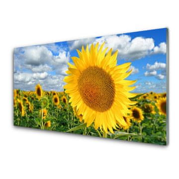tulup.si Slika na akrilnem steklu Sončnica flower rastlin 4 obešalnika