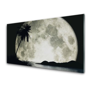 tulup.si Slika na akrilnem steklu Nočni moon landscape palm 4 obešalnika