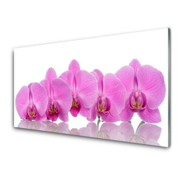 tulup.si Slika na steklu Pink orchid cvetje 2 obešalnika