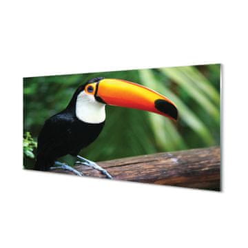 tulup.si Slika na akrilnem steklu Toucan na veji 2 obešalnika