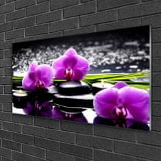 tulup.si Steklena slika Cvet orhideje rastlin 125x50 cm 2 obešalnika