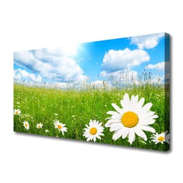 tulup.si Slika na platnu Daisy grass nature