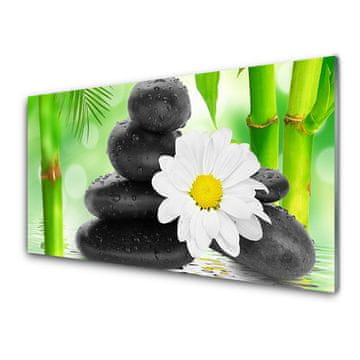 tulup.si Slika na akrilnem steklu Bamboo daisy flower 2 obešalnika