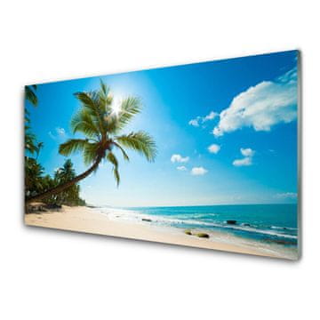 tulup.si Slika na akrilnem steklu Palm tree beach landscape 4 obešalnika