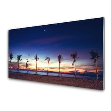 tulup.si Slika na akrilnem steklu Palm tree morje landscape 4 obešalnika