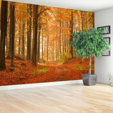 tulup.si Stenska fototapeta Gozd v jeseni Samolepilne