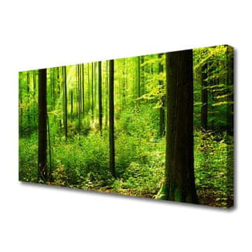 tulup.si Slika na platnu Green forest trees narava