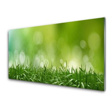 tulup.si Slika na akrilnem steklu Grass nature rastlin 2 obešalnika