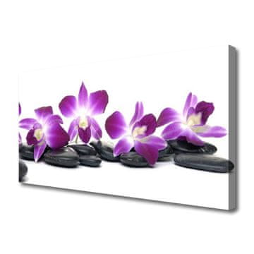 tulup.si Slika na platnu Orchid cvet spa