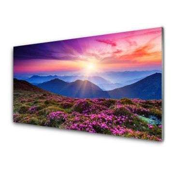 tulup.si Slika na akrilnem steklu Sun mountain travnik landscape 2 obešalnika