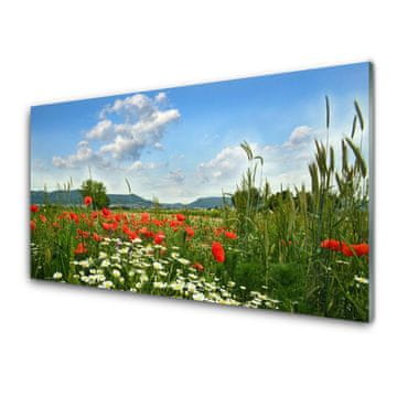 tulup.si Slika na akrilnem steklu Travniškega cvetja nature rastlin 4 obešalnika