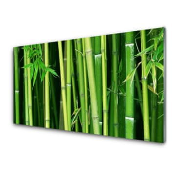 tulup.si Slika na akrilnem steklu Bamboo bamboo forest narava 2 obešalnika