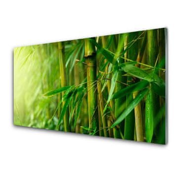 tulup.si Slika na akrilnem steklu Bamboo stebla rastlin 4 obešalnika