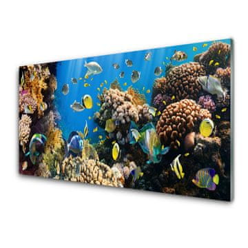 tulup.si Slika na akrilnem steklu Barrier reef narava 2 obešalnika