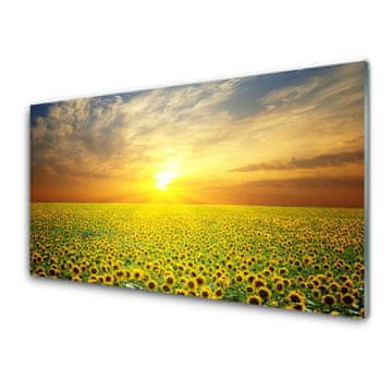 tulup.si Slika na akrilnem steklu Sun meadow sončnice 4 obešalnika