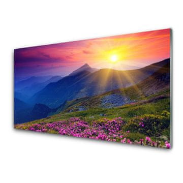 tulup.si Slika na akrilnem steklu Flower mountain travnik landscape 2 obešalnika