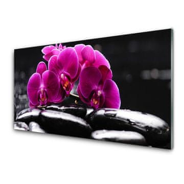tulup.si Slika na akrilnem steklu Zen kamni orchid spa 2 obešalnika