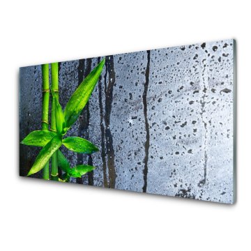 tulup.si Slika na akrilnem steklu Bamboo leaf narava rastlin 2 obešalnika