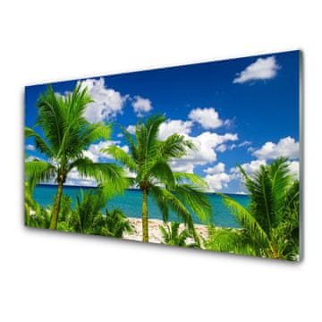 tulup.si Slika na steklu Morje palm trees landscape 2 obešalnika