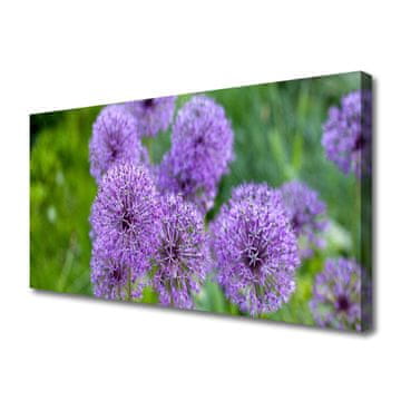 tulup.si Slika na platnu Purple travnik flowers