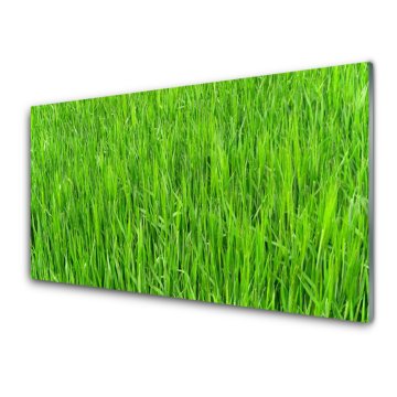 tulup.si Slika na akrilnem steklu Narava green grass turf 2 obešalnika