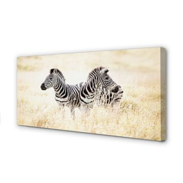 tulup.si Slika na platnu Zebra polje