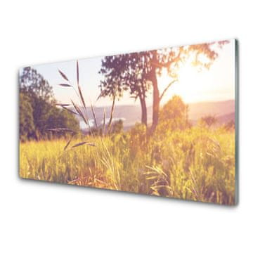 tulup.si Zidna obloga za kuhinju Grass tree travnik narava