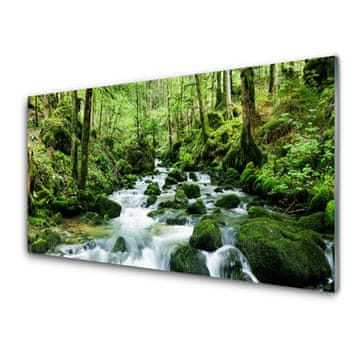 tulup.si Slika na akrilnem steklu Forest stream river falls 2 obešalnika