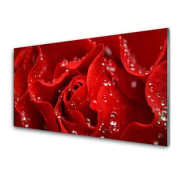 tulup.si Steklena slika Rose flower rastlin narava 4 obešalnika