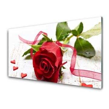 tulup.si Slika na akrilnem steklu Rose flower rastlin narava 2 obešalnika