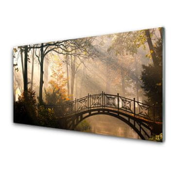 tulup.si Slika na akrilnem steklu Forest bridge arhitektura 2 obešalnika