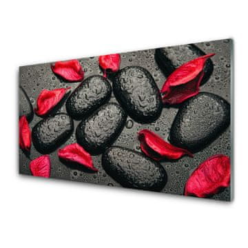 tulup.si Slika na akrilnem steklu Kosmiči stones art 2 obešalnika