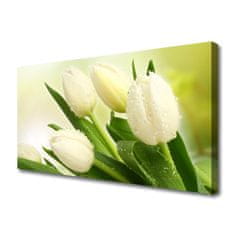 tulup.si Slika na platnu Tulipani cvetovi rastlin 100x50 cm