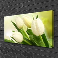 tulup.si Slika na platnu Tulipani cvetovi rastlin 100x50 cm