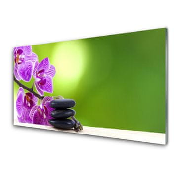 tulup.si Slika na akrilnem steklu Orhideje green flowers 2 obešalnika