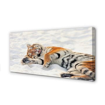 tulup.si Slika na platnu Tiger zima