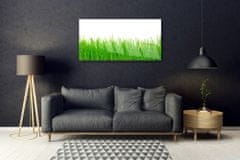 tulup.si Slika na steklu Grass nature rastlin 100x50 cm 2 obešalnika