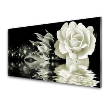 tulup.si Slika na akrilnem steklu Rose flower rastlin 4 obešalnika