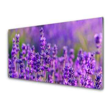 tulup.si Slika na akrilnem steklu Purple lavender polje 2 obešalnika