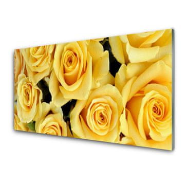 tulup.si Slika na akrilnem steklu Roses flowers rastlin 4 obešalnika