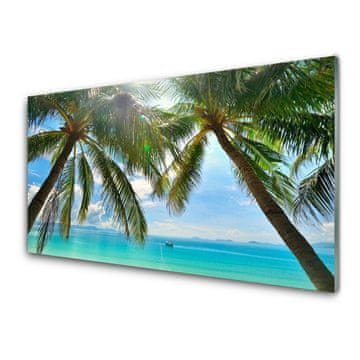 tulup.si Slika na akrilnem steklu Palm tree morje landscape 4 obešalnika