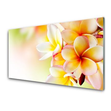 tulup.si Slika na akrilnem steklu Cvetovi rastlin narava 4 obešalnika