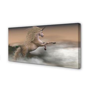 tulup.si Slika na platnu Unicorn oblaki