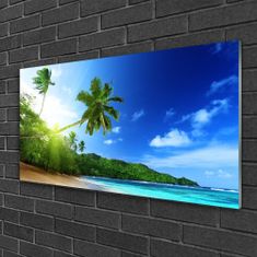 tulup.si Slika na steklu Palm beach sea landscape 100x50 cm 4 obešalnika