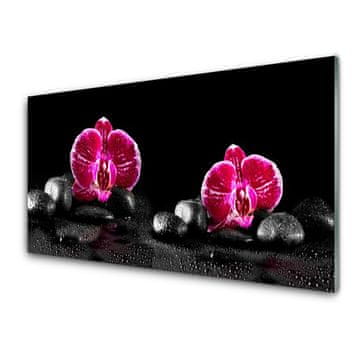 tulup.si Slika na akrilnem steklu Orchid za mir 4 obešalnika