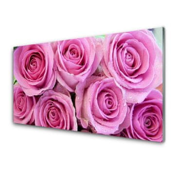 tulup.si Slika na akrilnem steklu Roses flowers rastlin 2 obešalnika