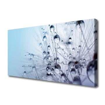 tulup.si Slika na platnu Dandelion rastlin